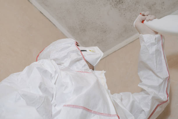 Reliable Smithfield, NC Mold Remediation Solutions